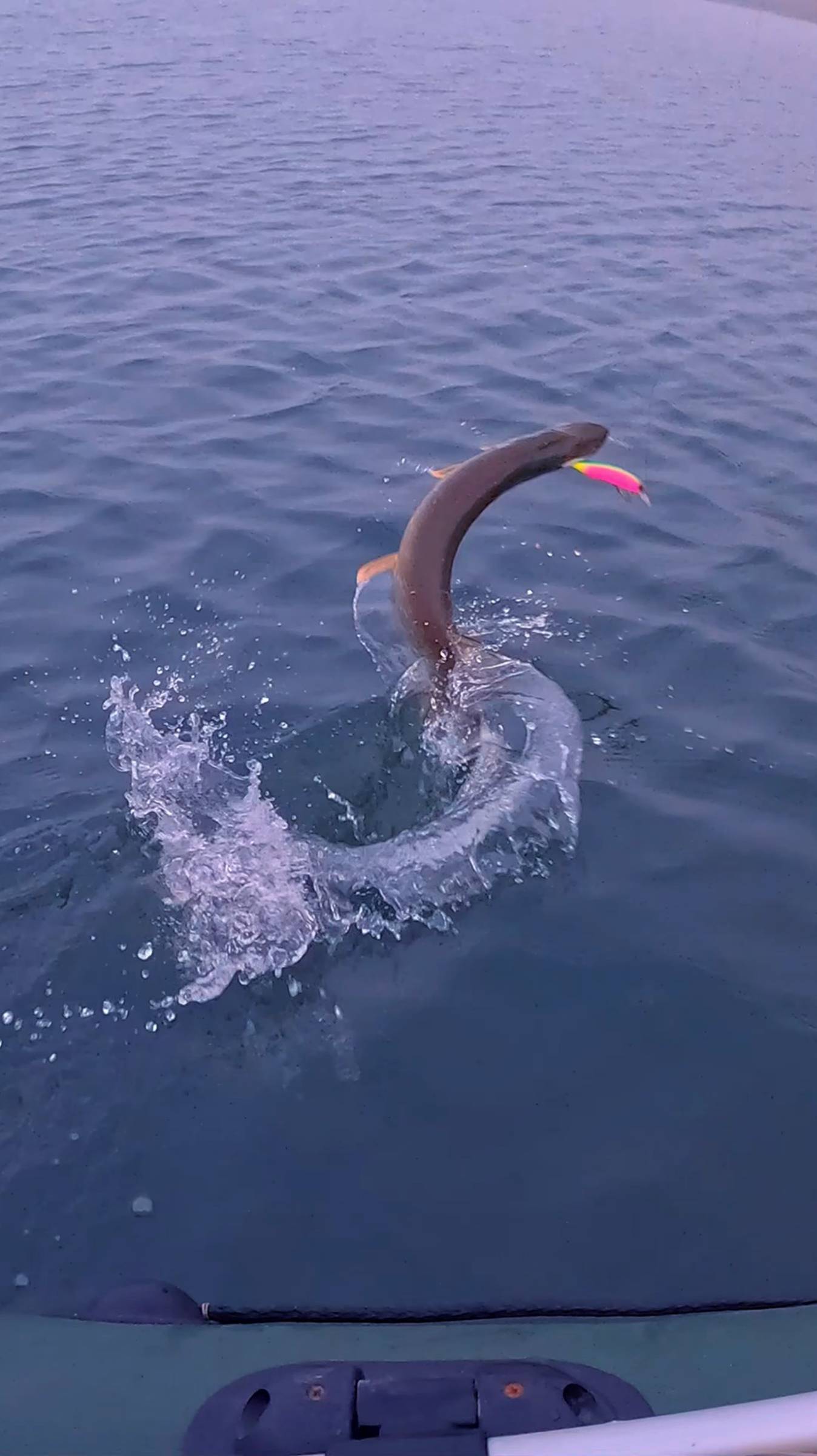 Рыбалка, о которой вы мечтаете! #shorts