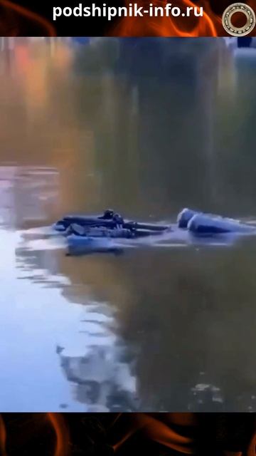 Водоплавающий боевой робот-собака китайской армии