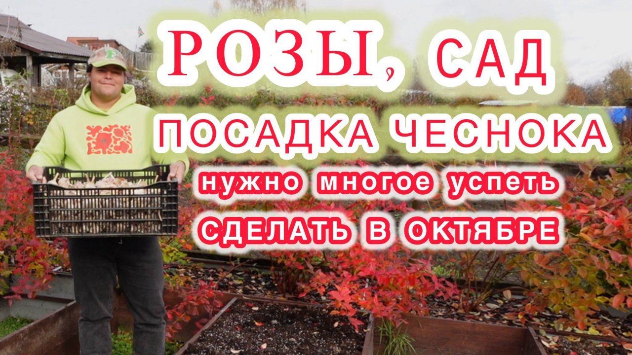 План работ и день забот в октябре.