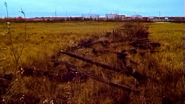 1988 год. Надым. Экологическая конференция