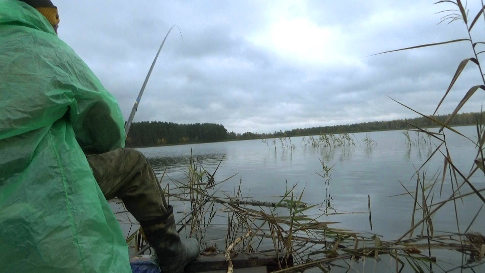 Рыбалка 21 октября на поплавок на озере по плотве с нового понтонного настила! Отличная рыбалочка!
