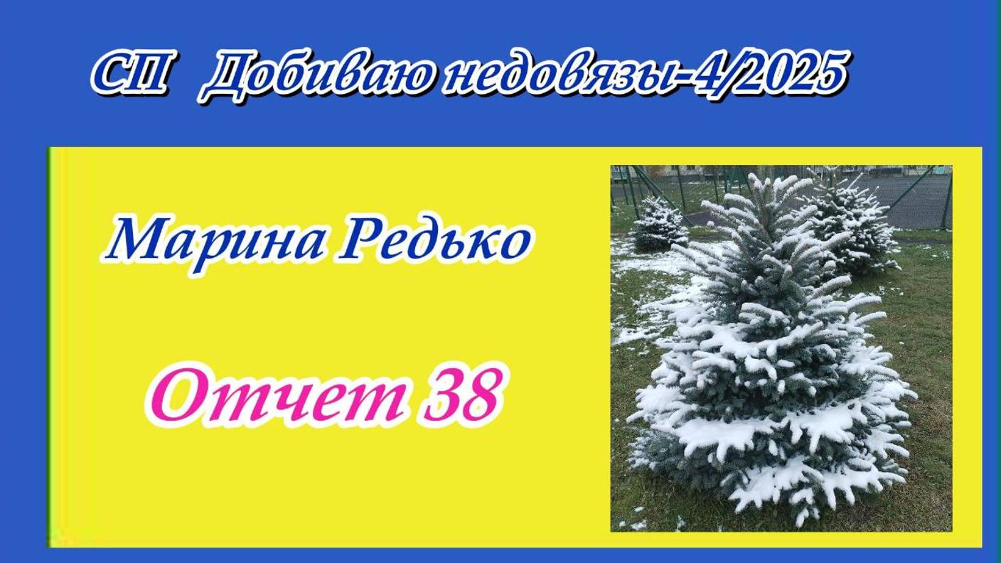 СП "Добиваю недовязы 4/2025" / Отчет 38