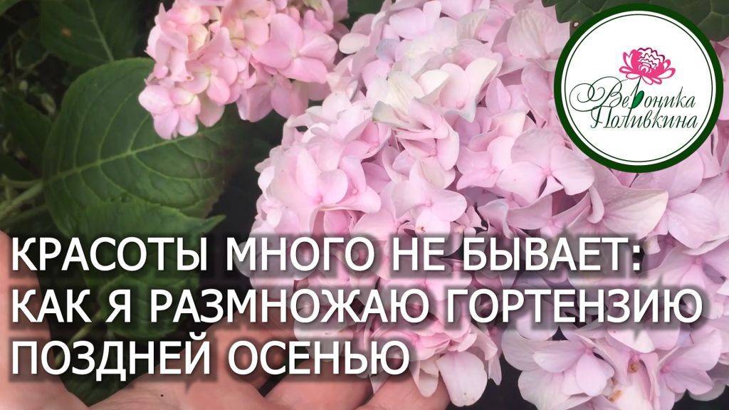 Это так просто, что вам обязательно захочется сделать