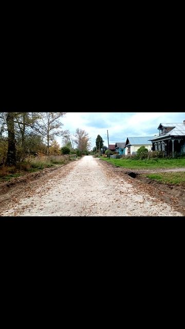 Деревня Алёшково Селивановского района Владимирской области 2025 год