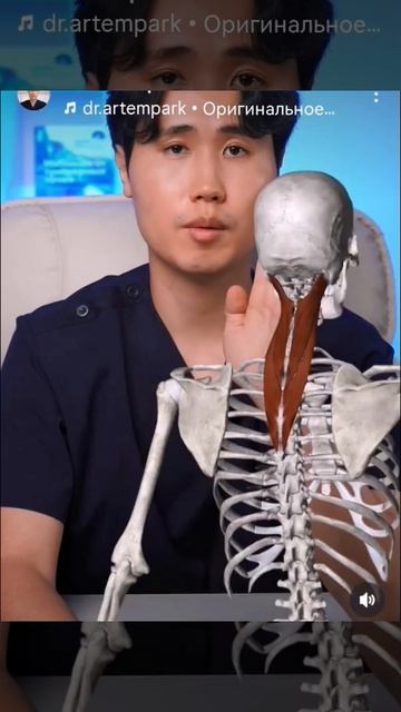 Упражнения для восстановления зрения