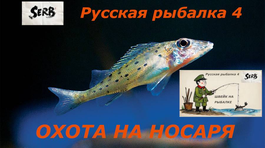 РУССКАЯ РЫБАЛКА 4 Охота на Ерша-Носаря #5.