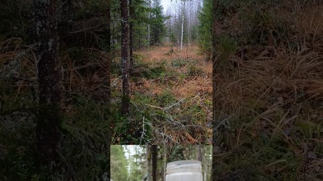 Готовлю к зиме дорогу.