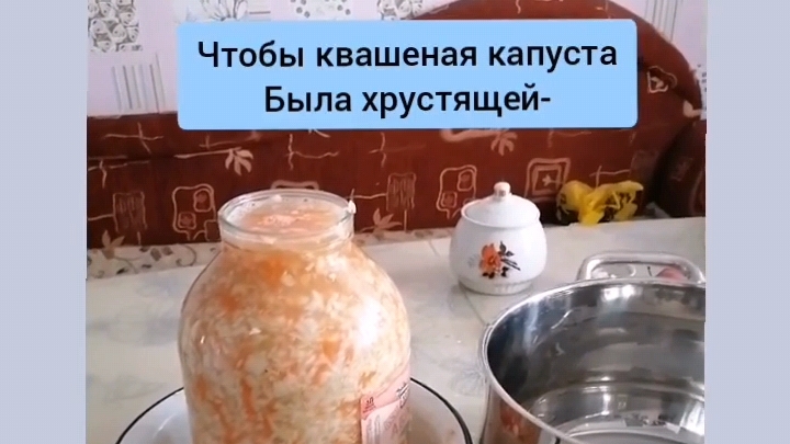 Чтобы квашеная капуста  хрустящей и вкусной стала. Советы.