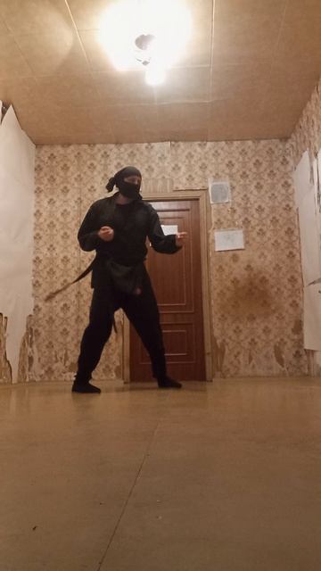 Крайне Северный Ниндзя: 24 Октябрьское Чудо III (24.10.25) Very Nordic Ninja: 24 October Wonder III