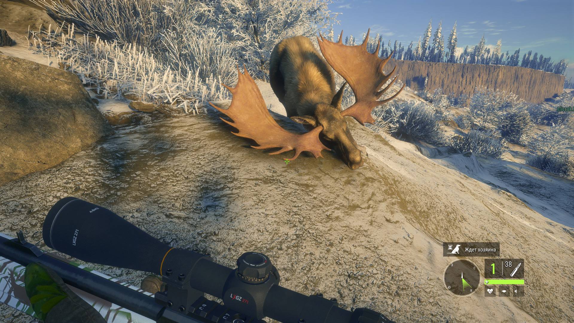 theHunter- Call of the Wild™ № 3