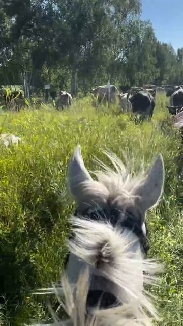 Воспоминание о лете. Захватывающее видео от наших друзей. Атма-сфера
