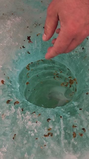 Одни отпускники