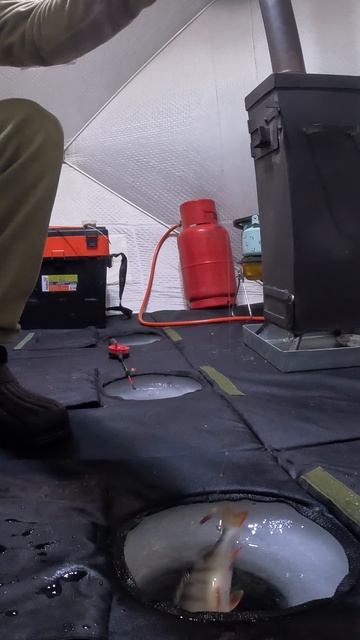 У НЕГО БЫЛ ШАНС ВЫЖИТЬ...