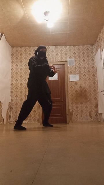 Крайне Северный Ниндзя: 24 Октябрьское Чудо IV (24.10.2025) Very Nordic Ninja: 24 October Wonder IV