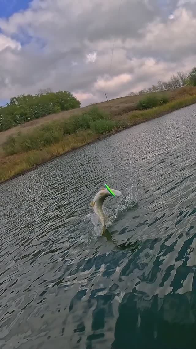 ПОПАЛАСЬ! Крупная ЩУКА на огромный ВОБЛЕР!😱💥💪 #shorts #рыбалка #luremax