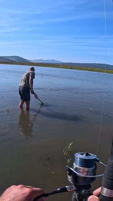 Дикий паровоз