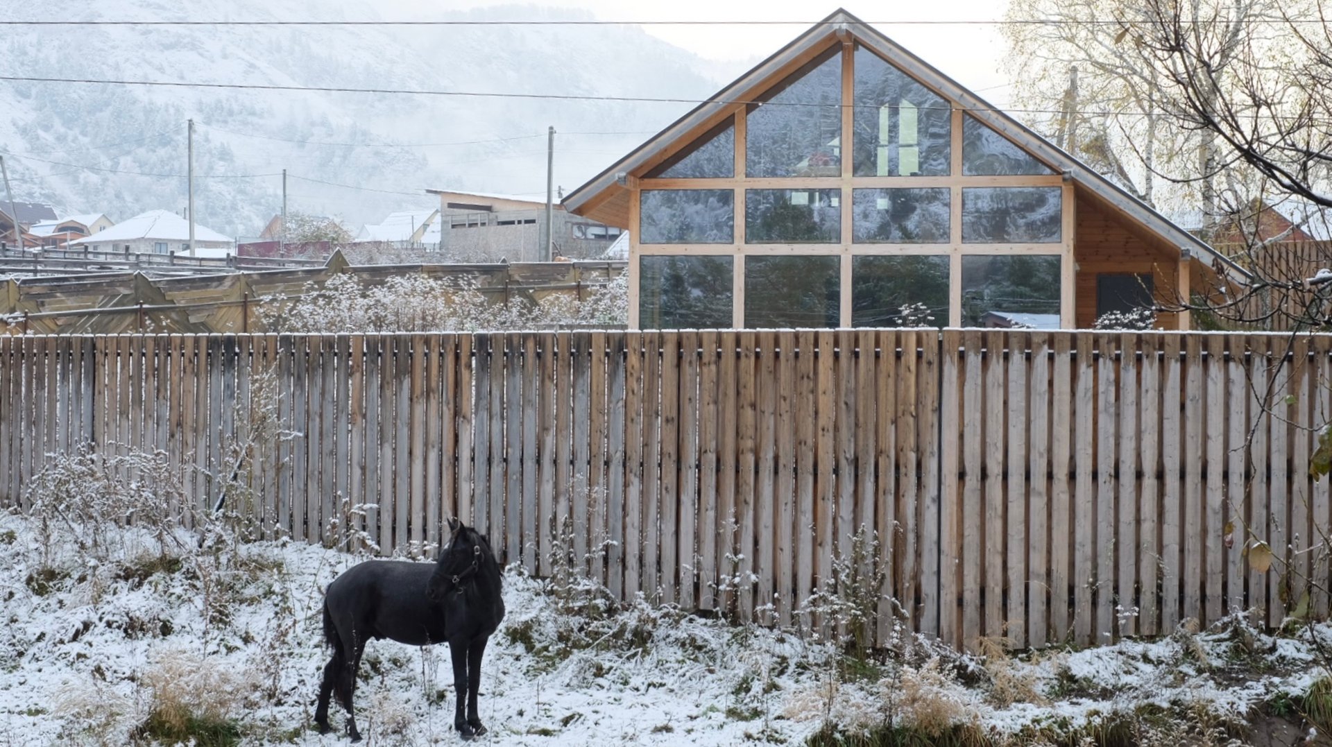 Дорога по Чемальскому тракту