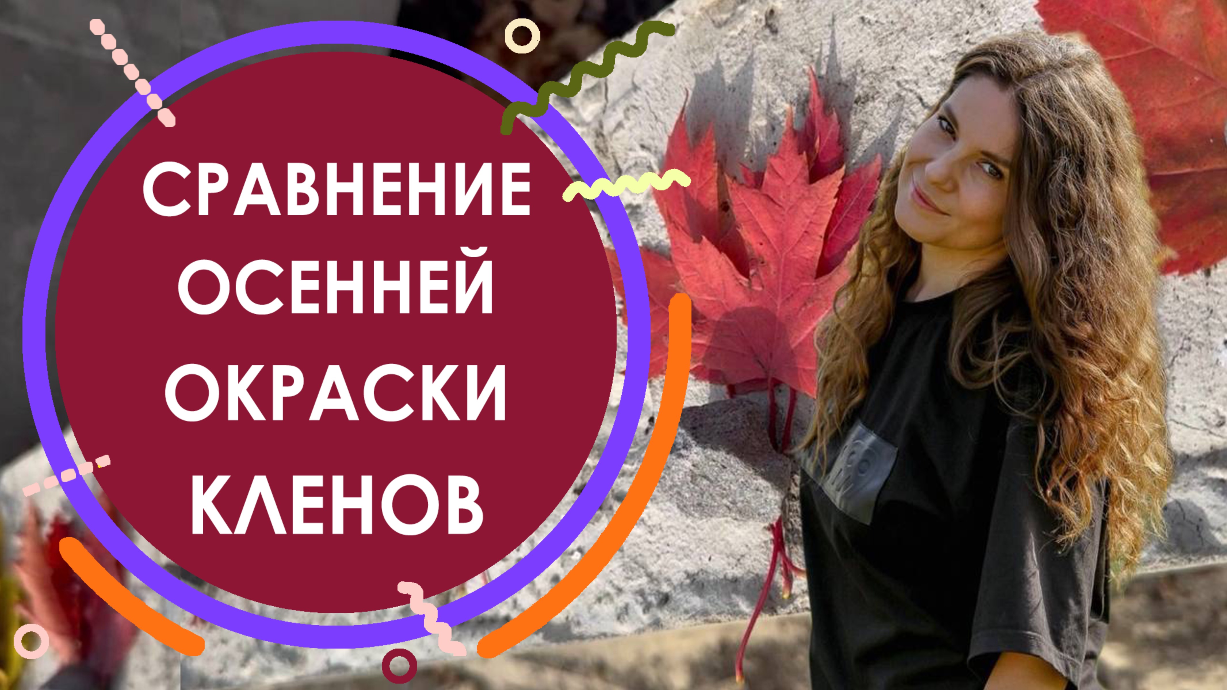 Сравнение осенней окраски кленов