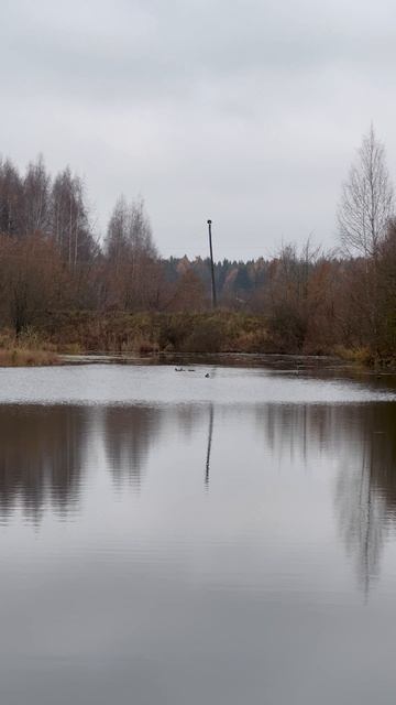 Осень в деревне