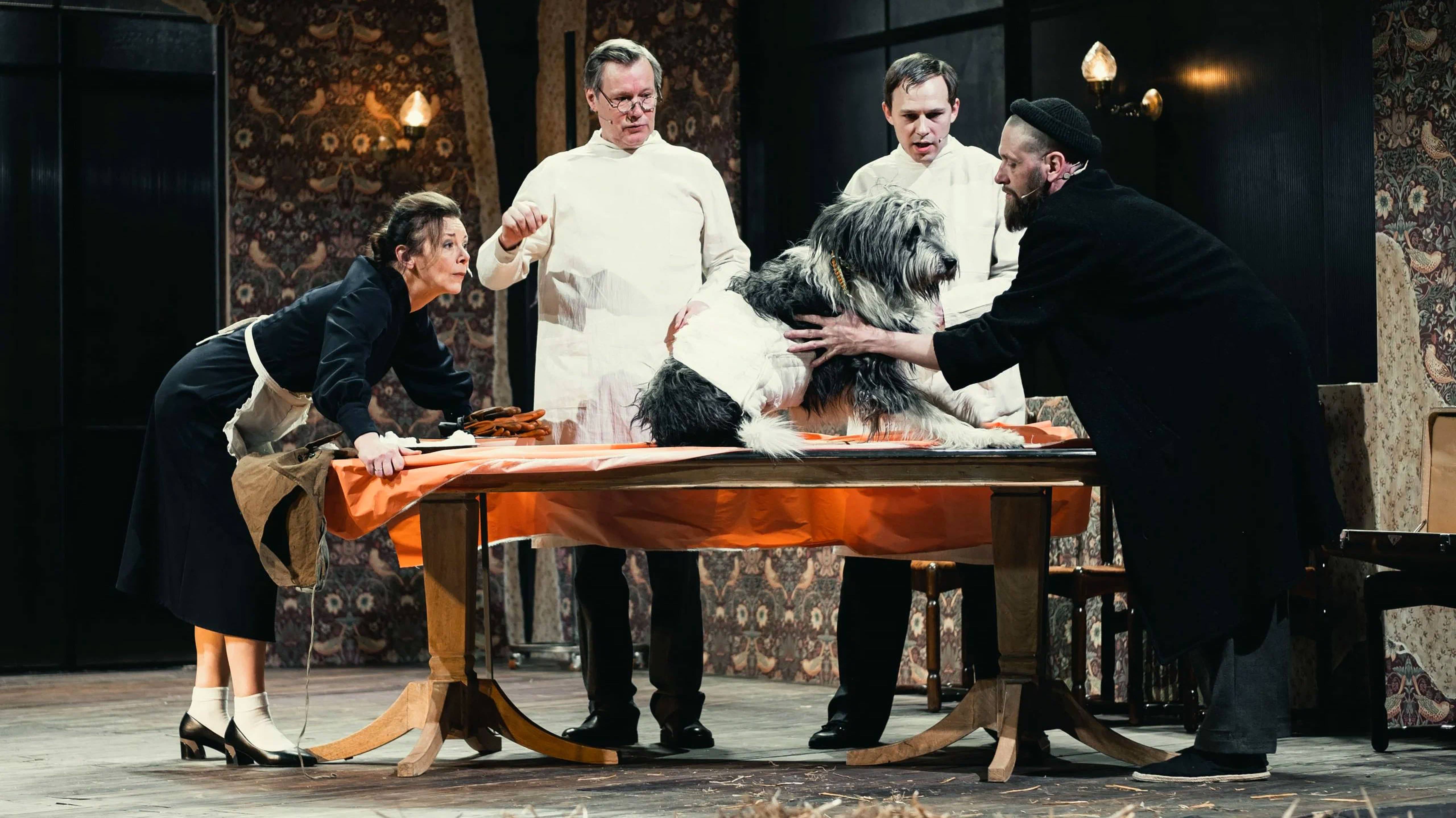 Собачье сердце (2025). Трейлер