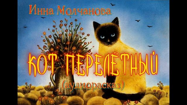 КОТ, КОТОРЫЙ... #рассказыоживотных 1000057746.mp4