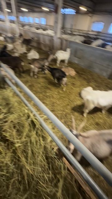 Отопление фермы