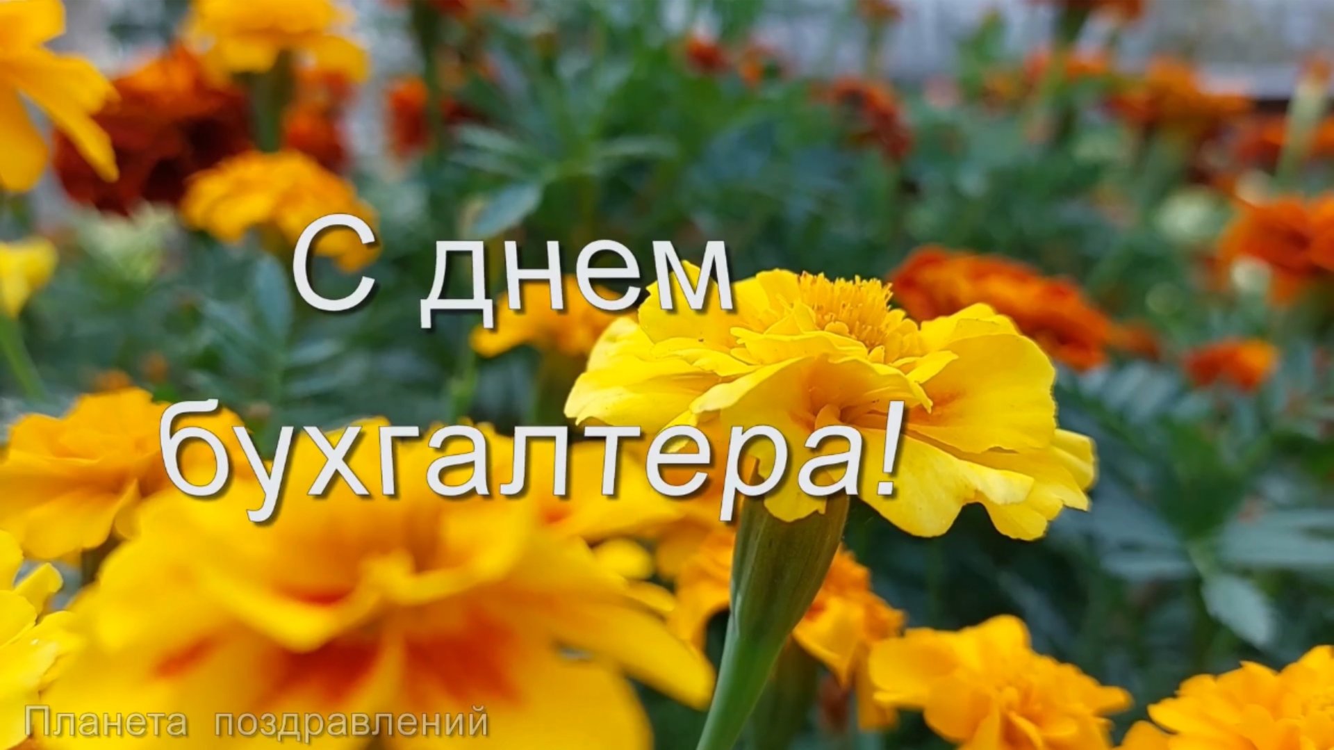 С днем бухгалтера. Песня и поздравление с днем бухгалтера