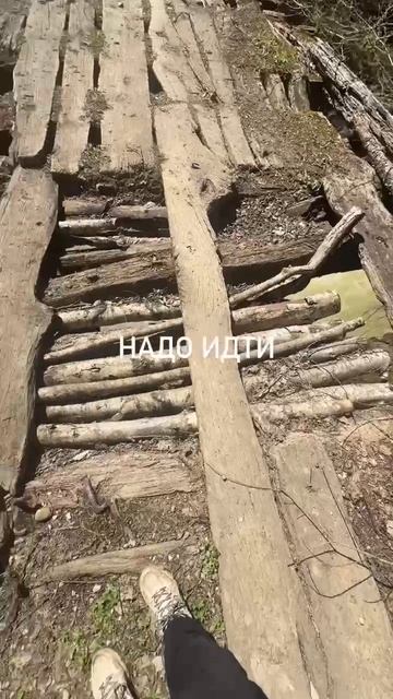 Весна на Гришкиной Яме