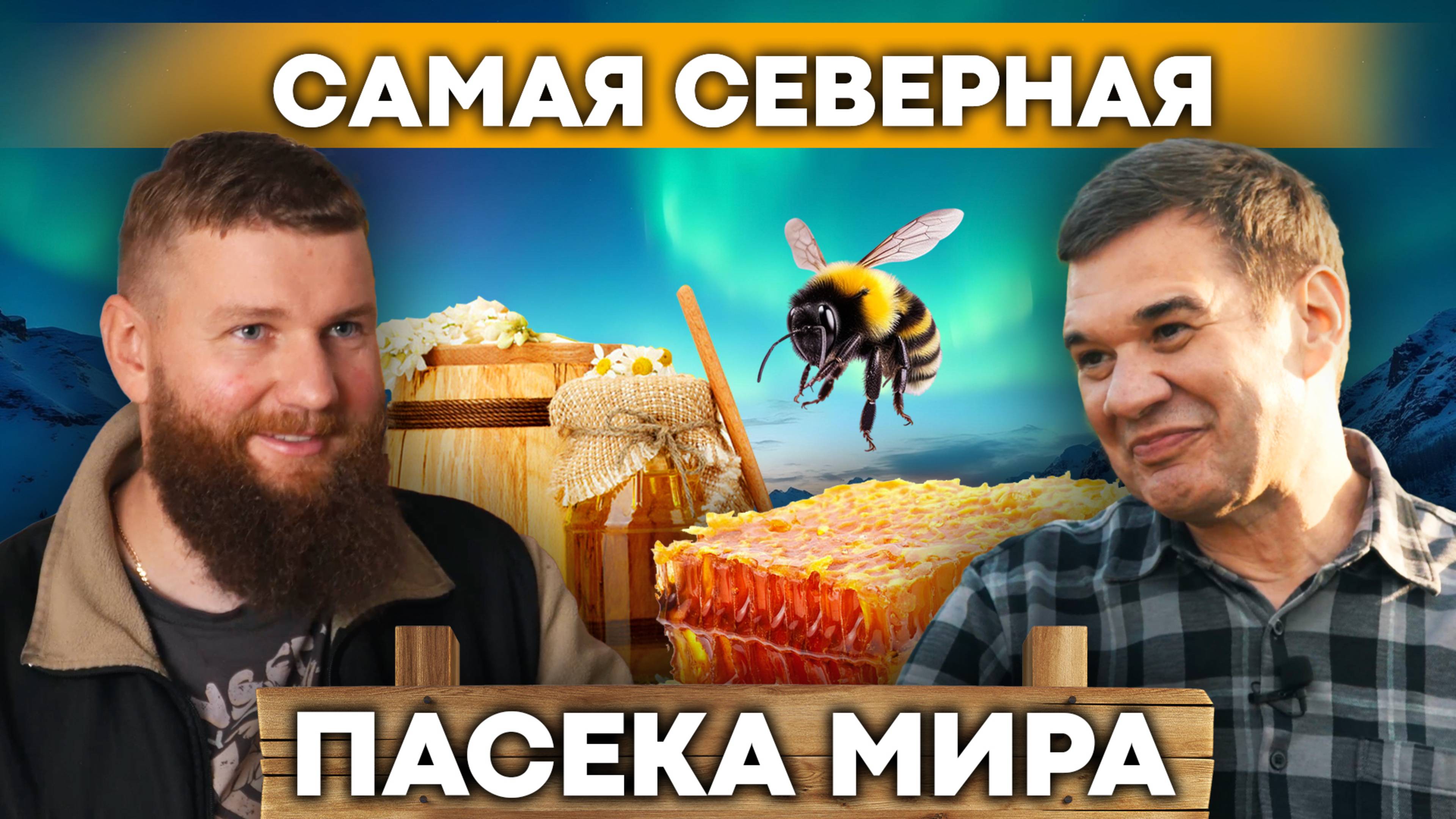 Арктическое пчеловодство: как заработать на мёде за Полярным кругом? Пасека в Мурманске