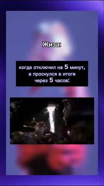 Котэ нюхач 😤