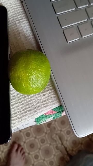 Крайне Северный Ниндзя: 26 Октябрьское Чудо 5 (26.10.2025) Very Nordic Ninja: 26 October Wonder 5