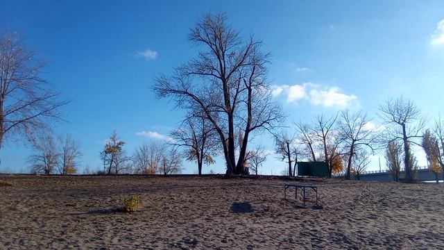 Волга. Саратовский пляж. 25 октября 2025 года)