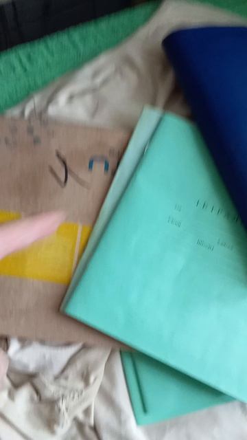 Крайне Северный Ниндзя: 26 Октябрьское Чудо 1 (26.10.2025) Very Nordic Ninja: 26 October Wonder 1