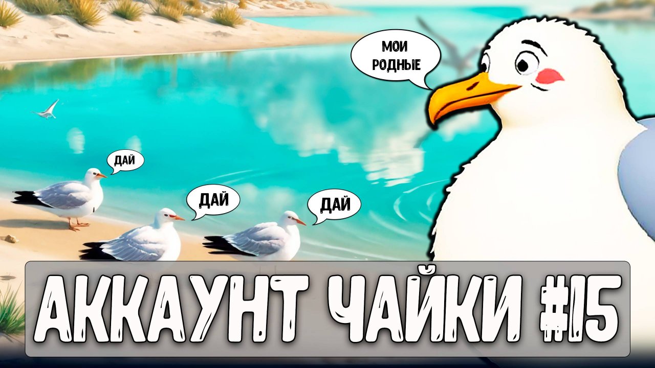 Чайка нашёл рай для чаек #рр4