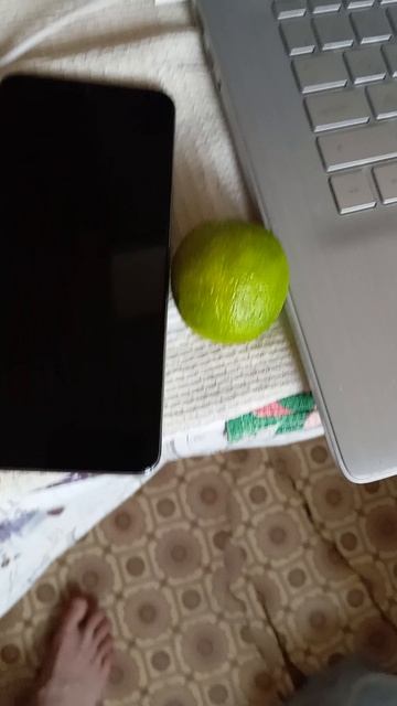 Very Nordic Ninja: 26 October Wonder 5 (26.10.2025) Крайне Северный Ниндзя: 26 Октябрьское Чудо 5