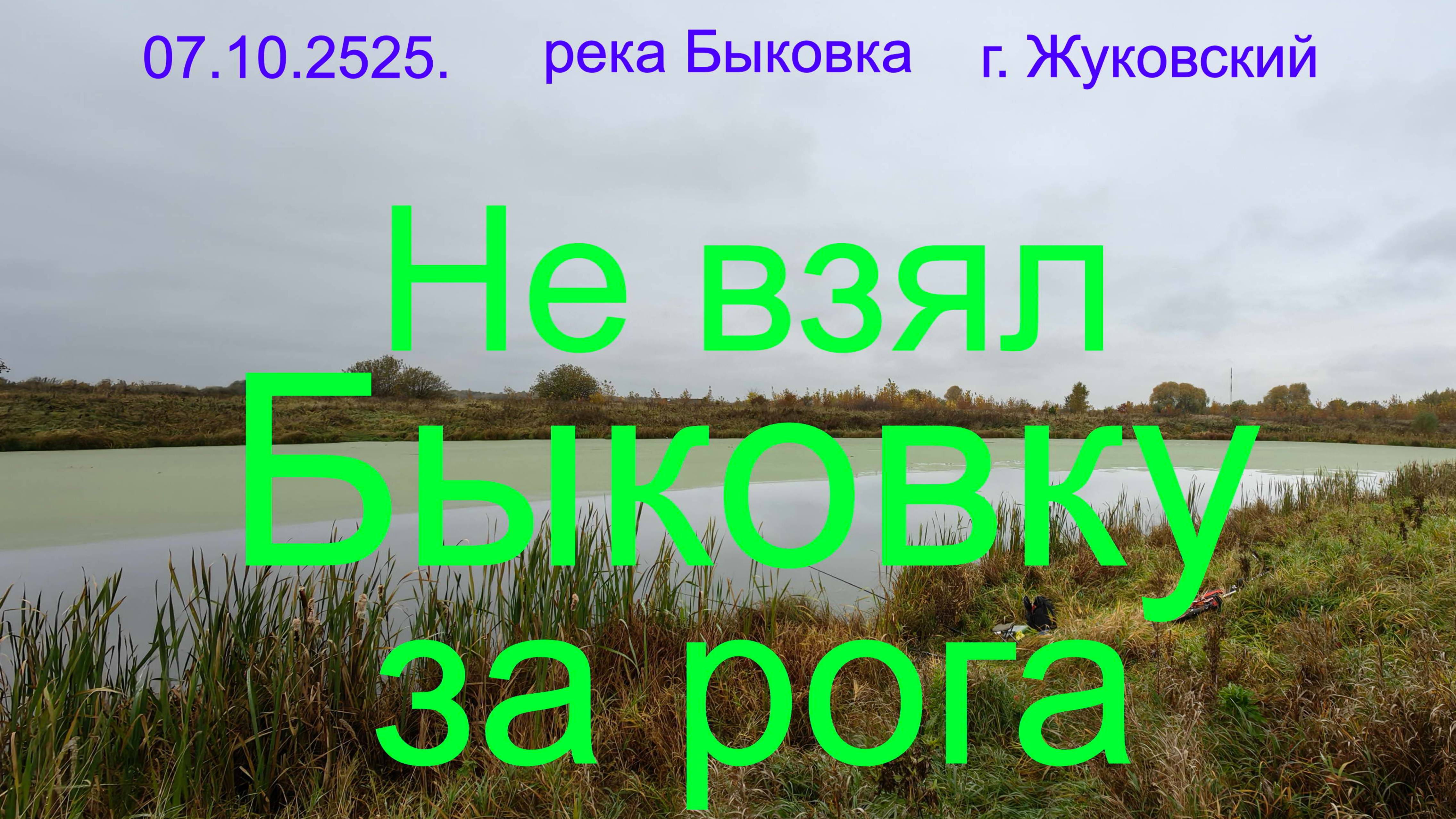 Не взял Быковку за рога. 07.10.2025. Река Быковка. г. Жуковский. озеро Пионер. г Раменское.