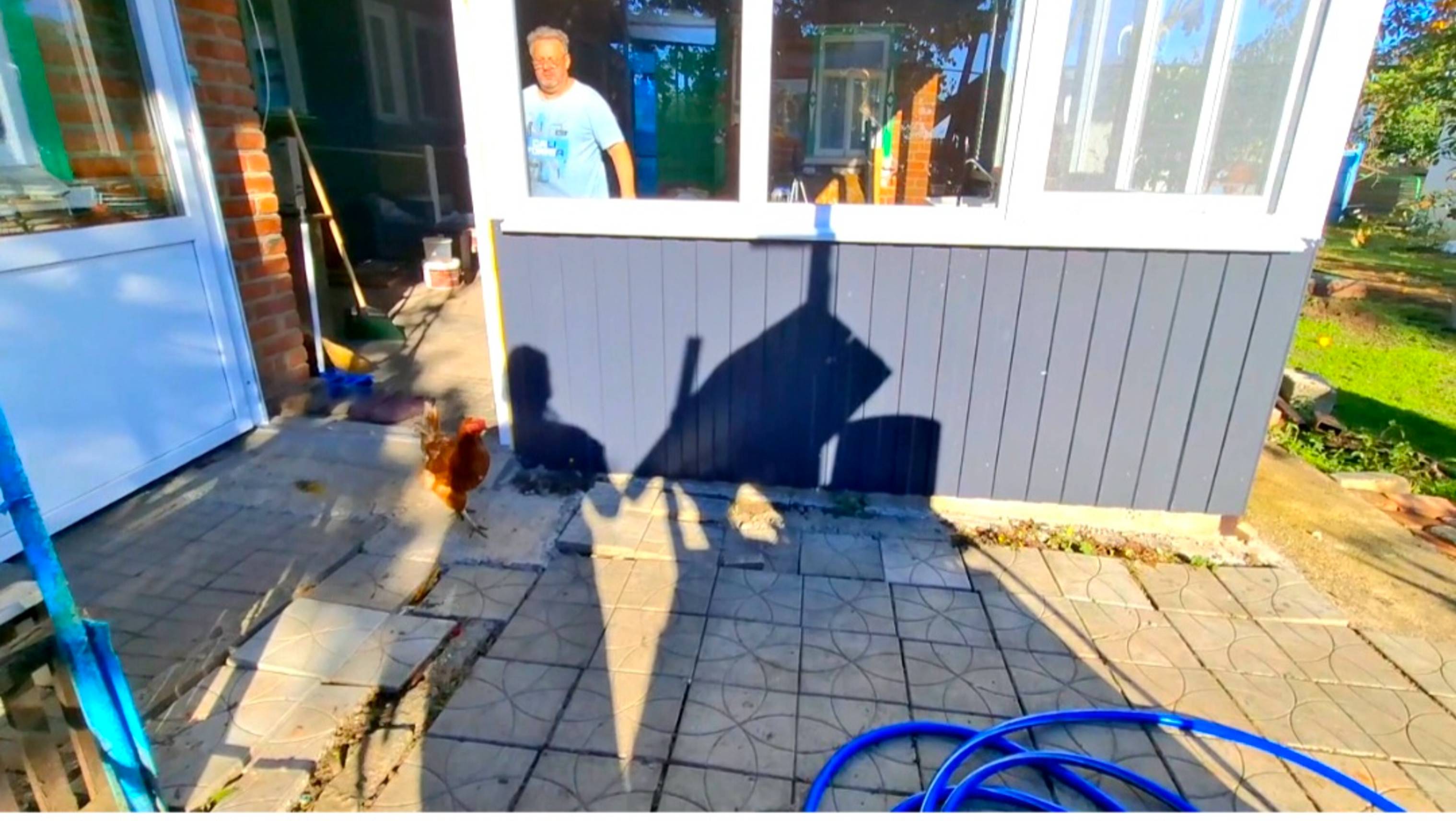 842 Городские Станичники. Мы их выпустили.Мошейники натворили.