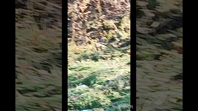 Прогулка до бухты, пляж в октябре, катаются водно моторные лодки, пробежка по стадиону. 🤾♂️⛹️♀️👍