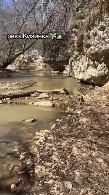 Река Кизинка