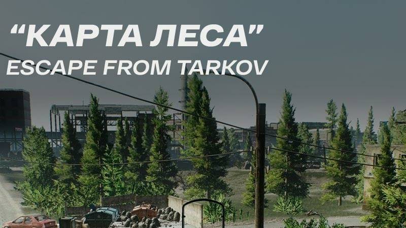 Гайд по выходам на локации Лес !!!