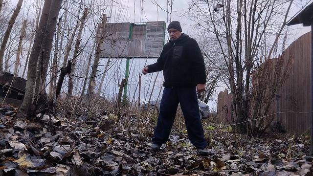 Бокс. 22 урок. Удар: круговые, волновые, поступательные. Бокс и плавание.