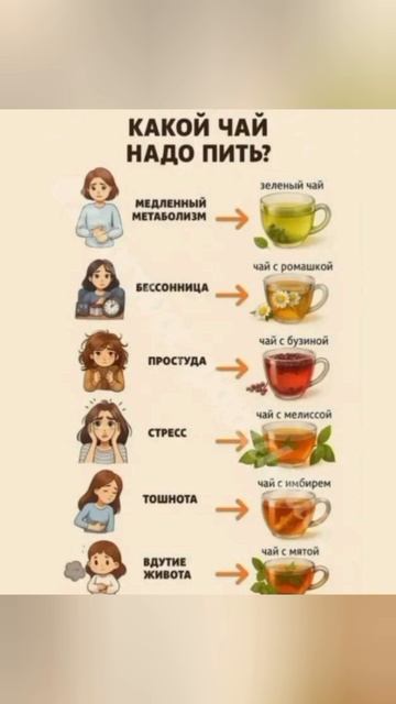 #shorts #shortvideo #ai #напиток #чай #польза #katyboro #здоровье