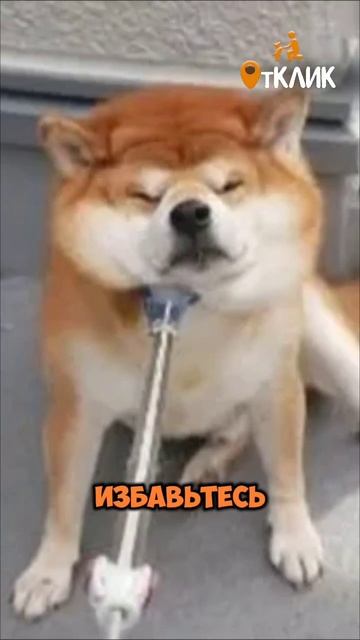 Избавьтесь от наказаний!