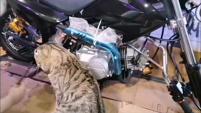 Распаковка моего нового питбайка! ORION APOLLO ATV 125