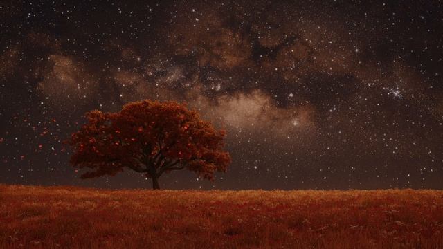 Tree of Wisdom ｜ Peaceful Ambient Music for Cosmic Peace & Moments of Clarity [Calm Mode： On]