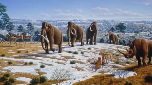 Мегафауна ледникового периода (палеонтолог Ярослав Попов)