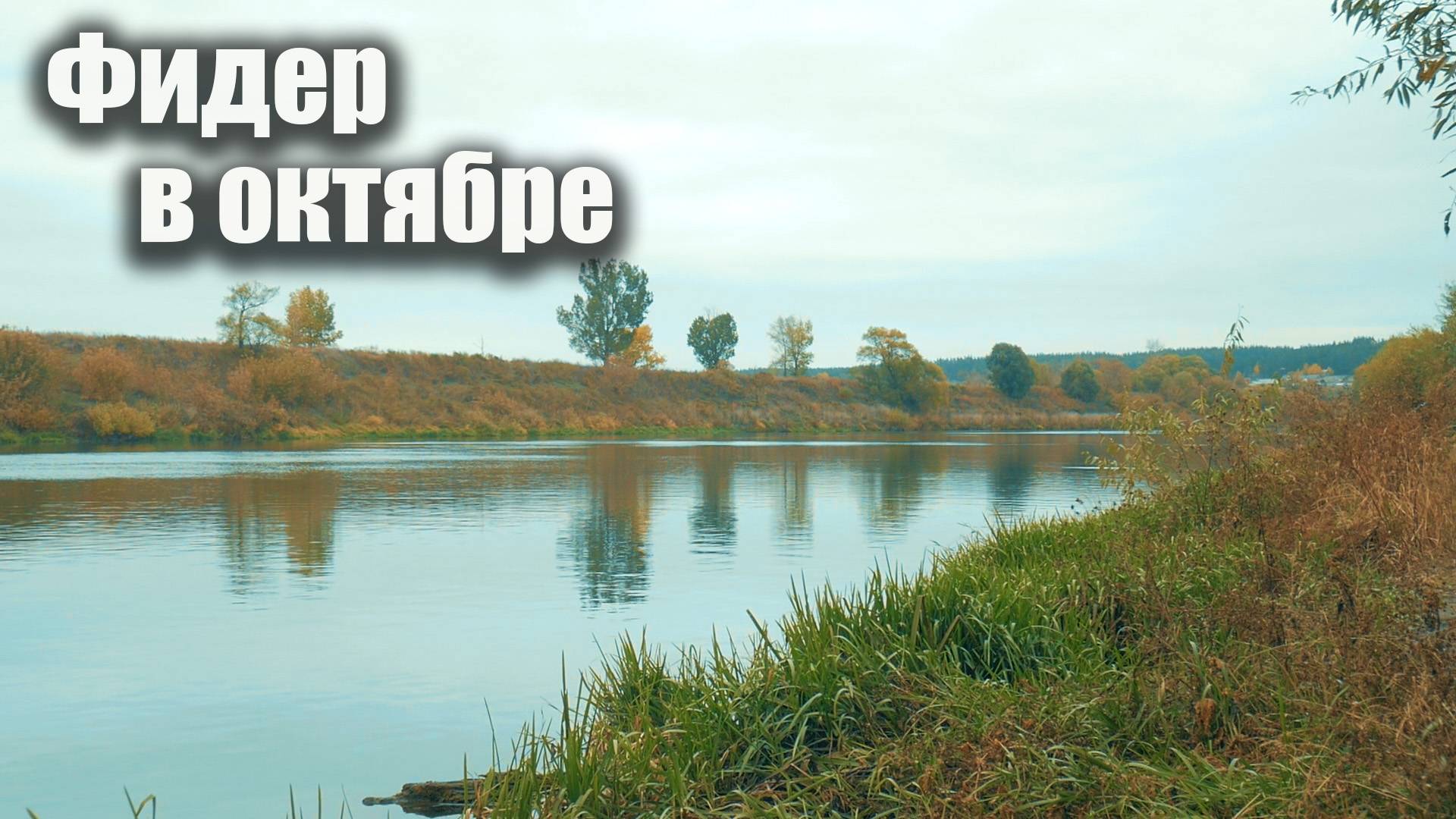 Фидер на реке  Дон осенью. Рыбец, плотва