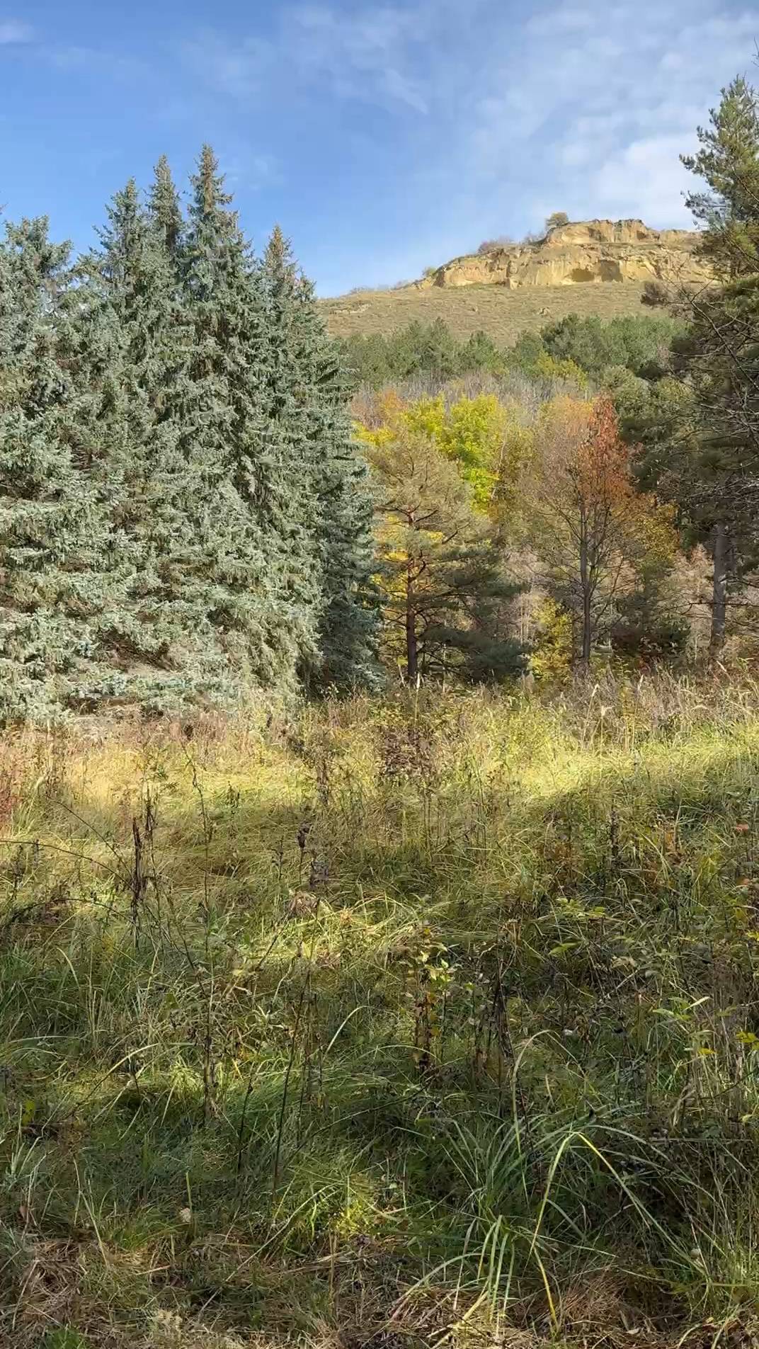 Погода в Кисловодске 27 октября 2025 года