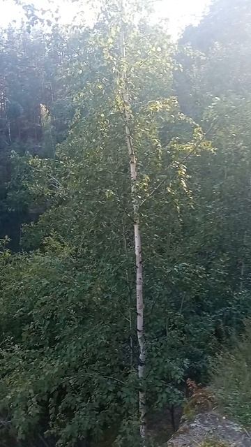 Здесь каждый камень — часть легенды Бажовские места: Свердловская область. г.Сысерть