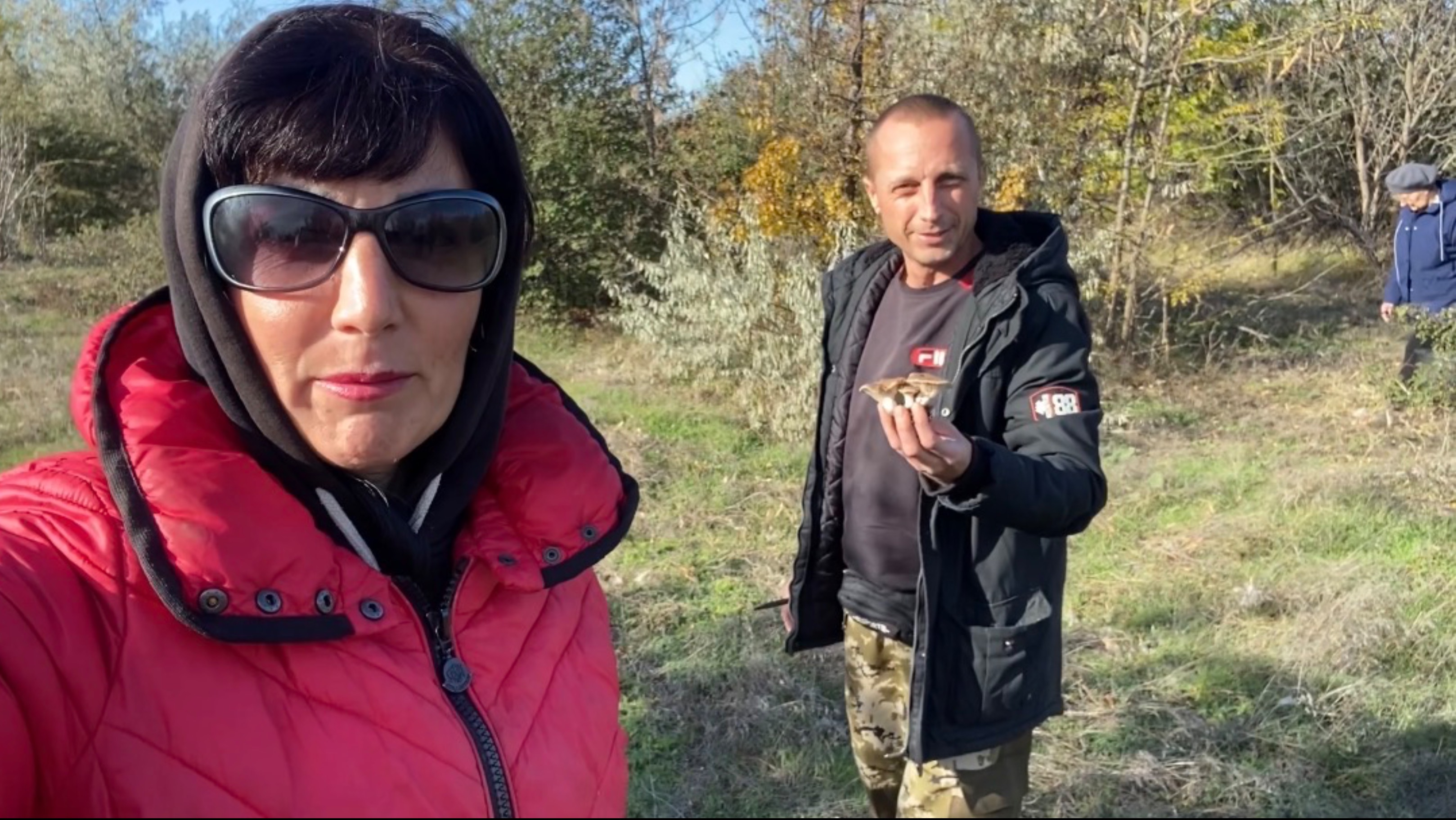 Крымские грибы КОПЫТЦЫ